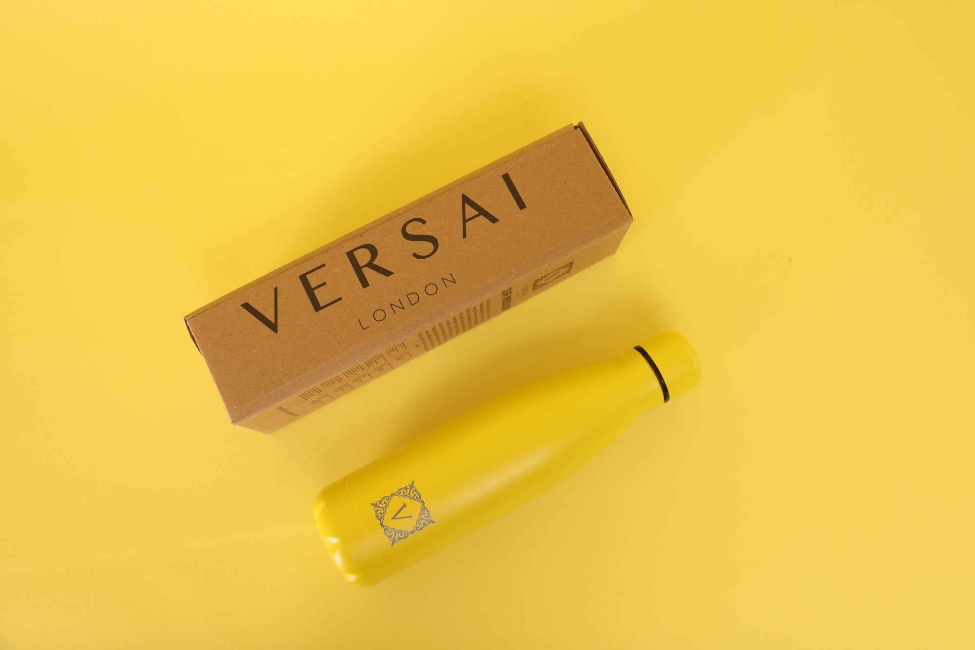 Redbrick - Vendita all'ingrosso Borracce - Bottiglia d'acqua in acciaio inox VERSAI da 500 ml con design Coca-Cola49