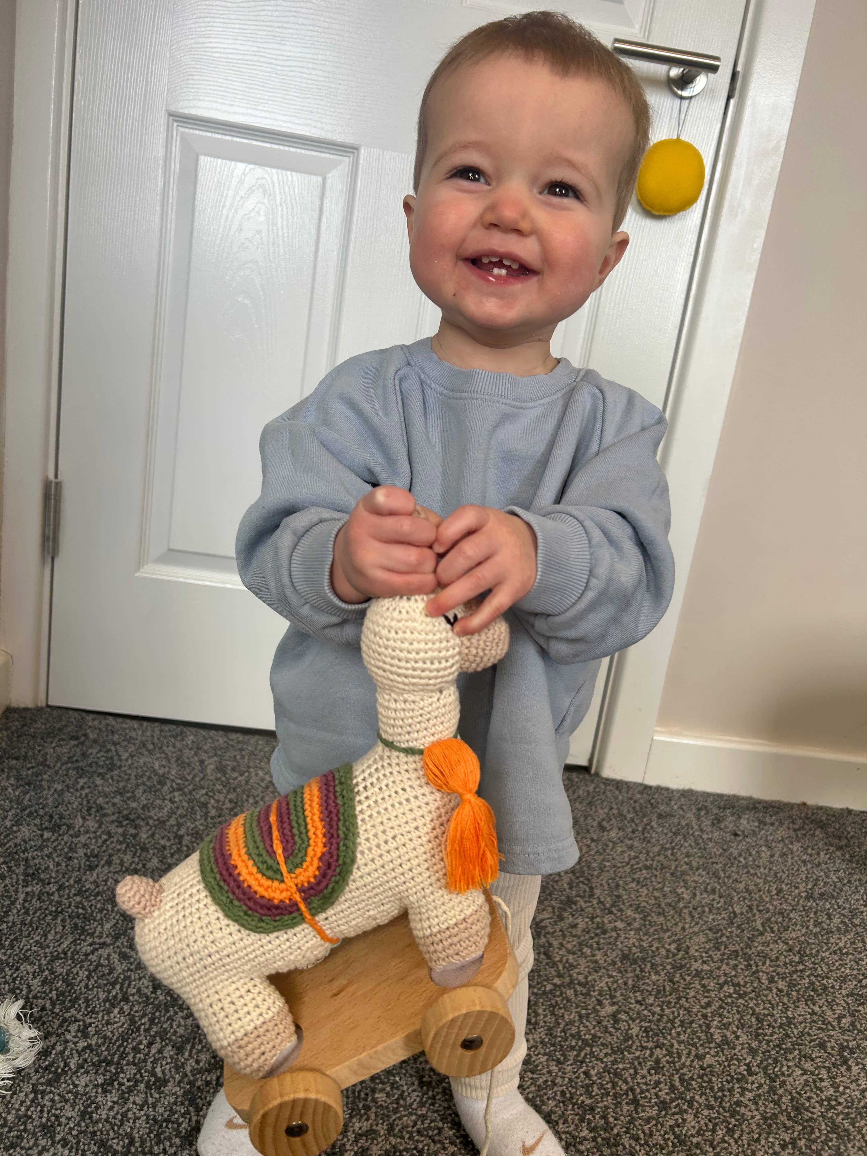 Pebblechild - Wholesale Stuffed/Plush Toy - Kids & Baby - Crochet Baby Toy pull along - llamas natural4