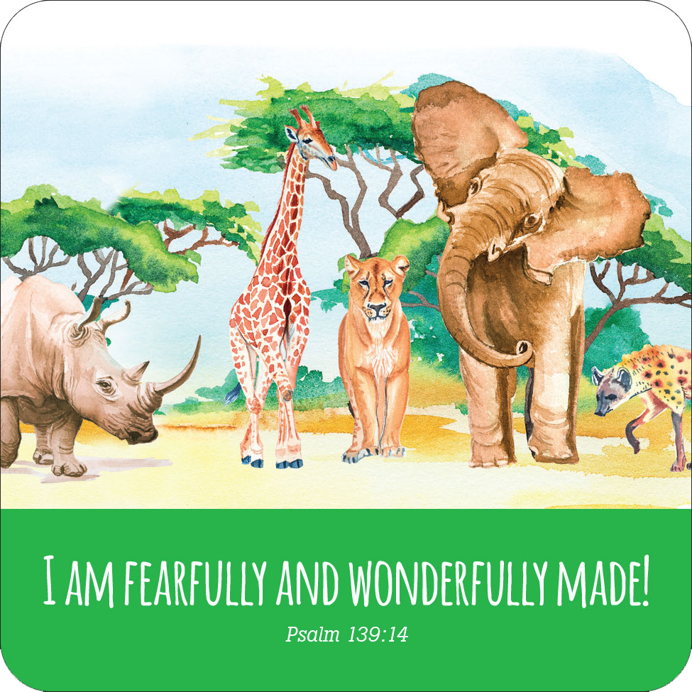 Peter Pauper Press - Wholesale Learning Cards - Kids & Baby - Scripture Lunch Box Notes for Kids! (Set of 60 Cards)3