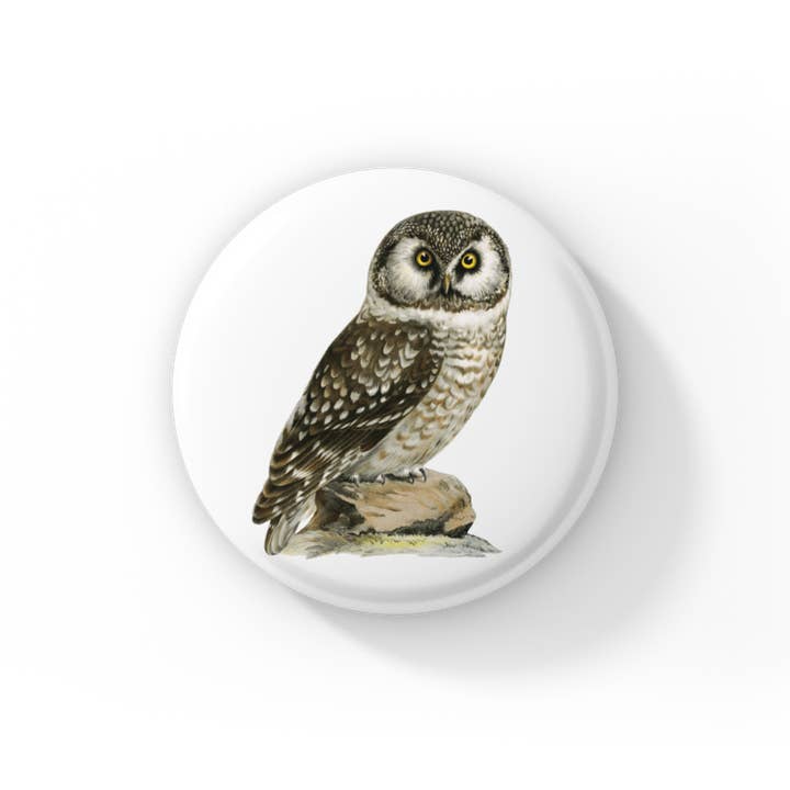 Bordeale uilspeldknop, sleutelhanger met uil, magneet voor boreale uil voor wholesale door NatureCuts
