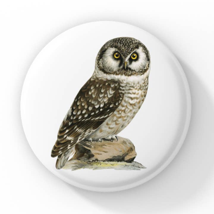 Boreal Owl Pin Button, Owl Keychain, Boreal Owl Magnet for wholesale by NatureCuts