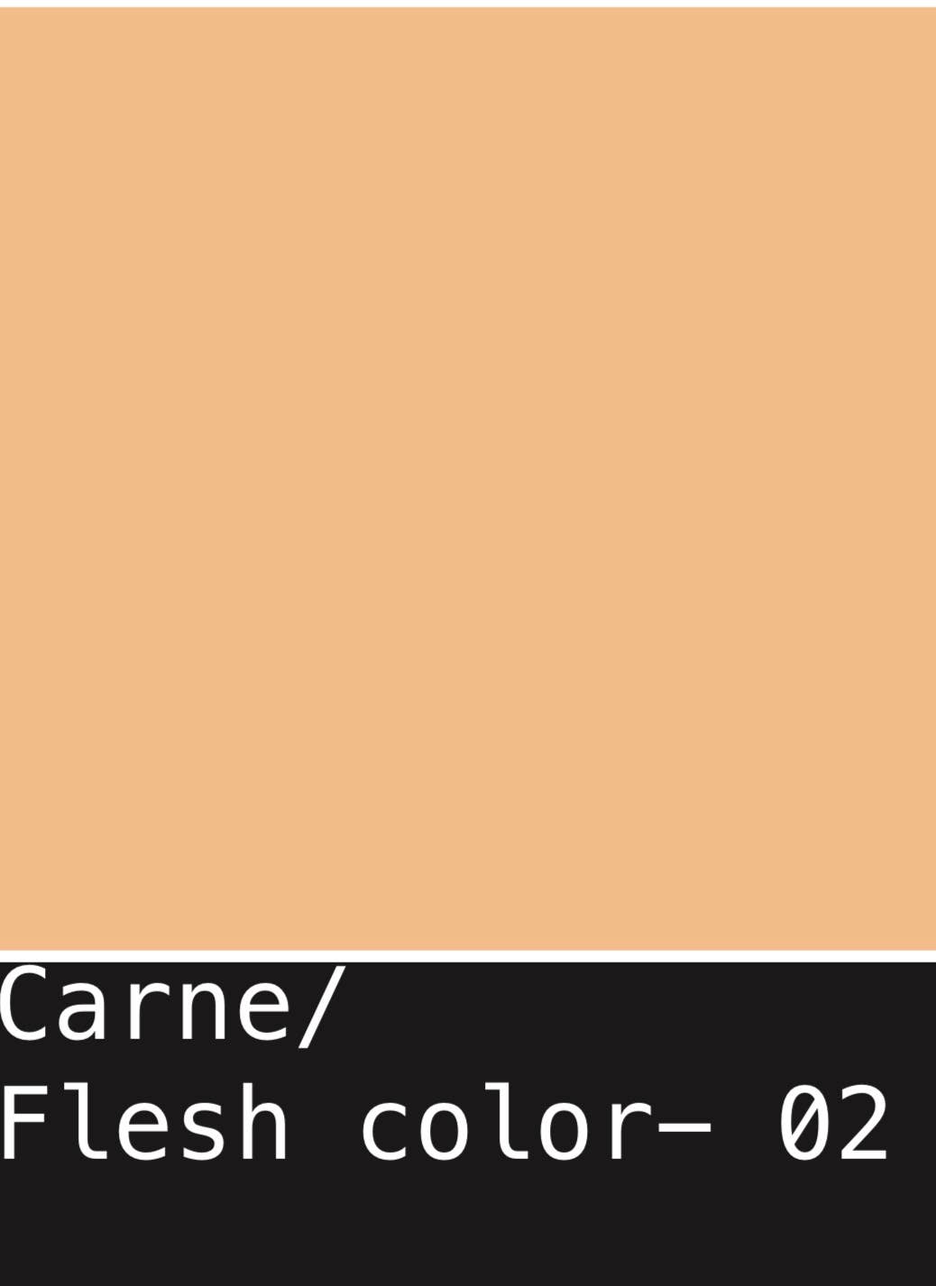 Aboutalisa - Wholesale Slip - Women's - High-waisted modal briefs6