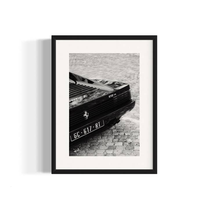 Wall of Venus - Wholesale Art Print - 512 TR29