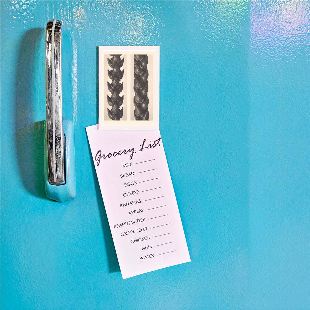 Found Image Press - Vendita all'ingrosso Calamite - Magnete PL-42 Steli di Crassula1