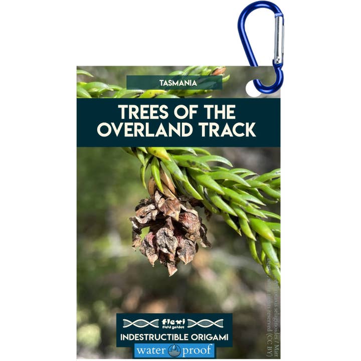 Arbres du Overland Track-Origami indestructible pour la vente par Flexi Field Guides