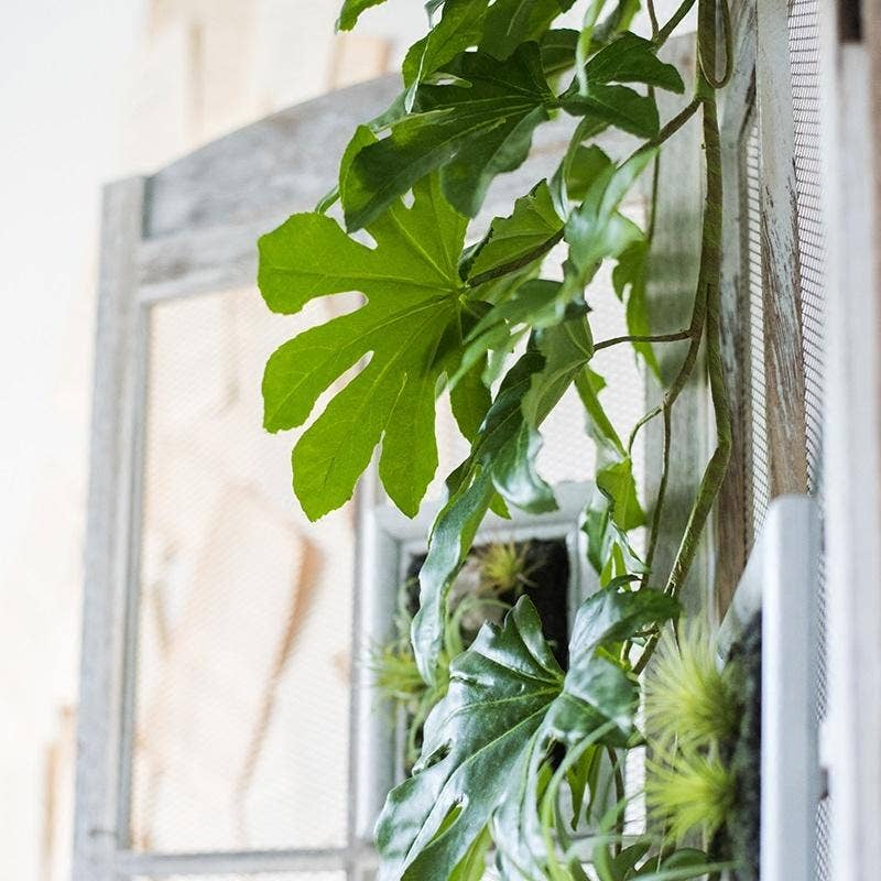 Rustic Reach - Wholesale Artificial Plant - Artificial Plant Fatsia Leaf Vines 32" Long3