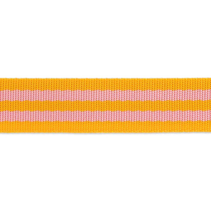 Renaissance Ribbons - Wholesale Craft Supplies - 2yd Pink/Orange - 1" Nylon Webbing - by Tula Pink - PRO 6PK