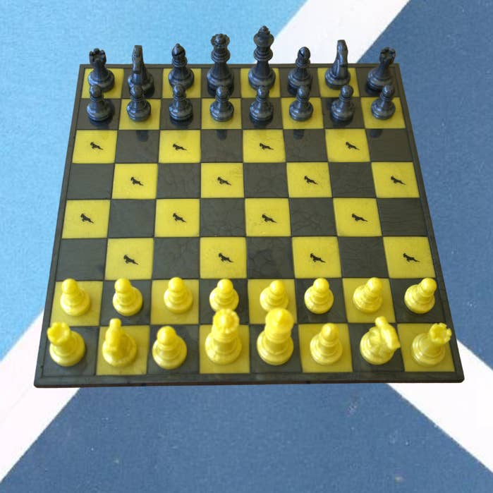 Jeu d'échecs avec planche G.O.A.T. Paddle pour la vente par G.O.A.T. Paddle