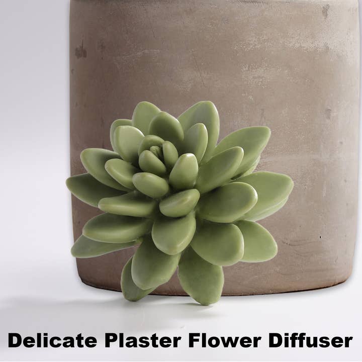 Pretty Valley Home - Wholesale Diffuser fragrance refill - Reed Diffuser Set Gypsum Succulent 3.38 FL OZ (100 ml)-SOC1