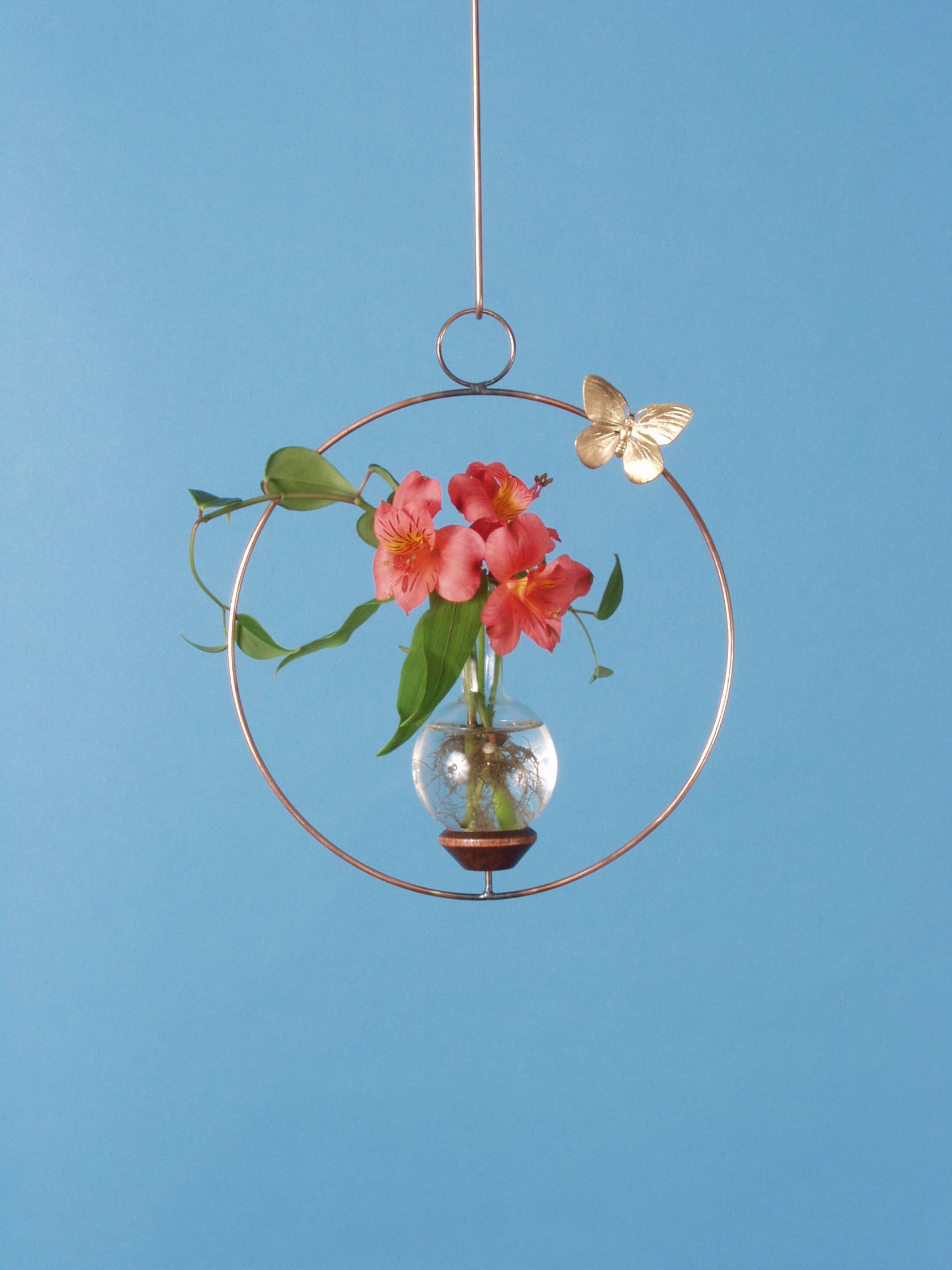 The Brass Butterfly - Wholesale Hanging Planter - Round Plant Propagation Rooting Vase4