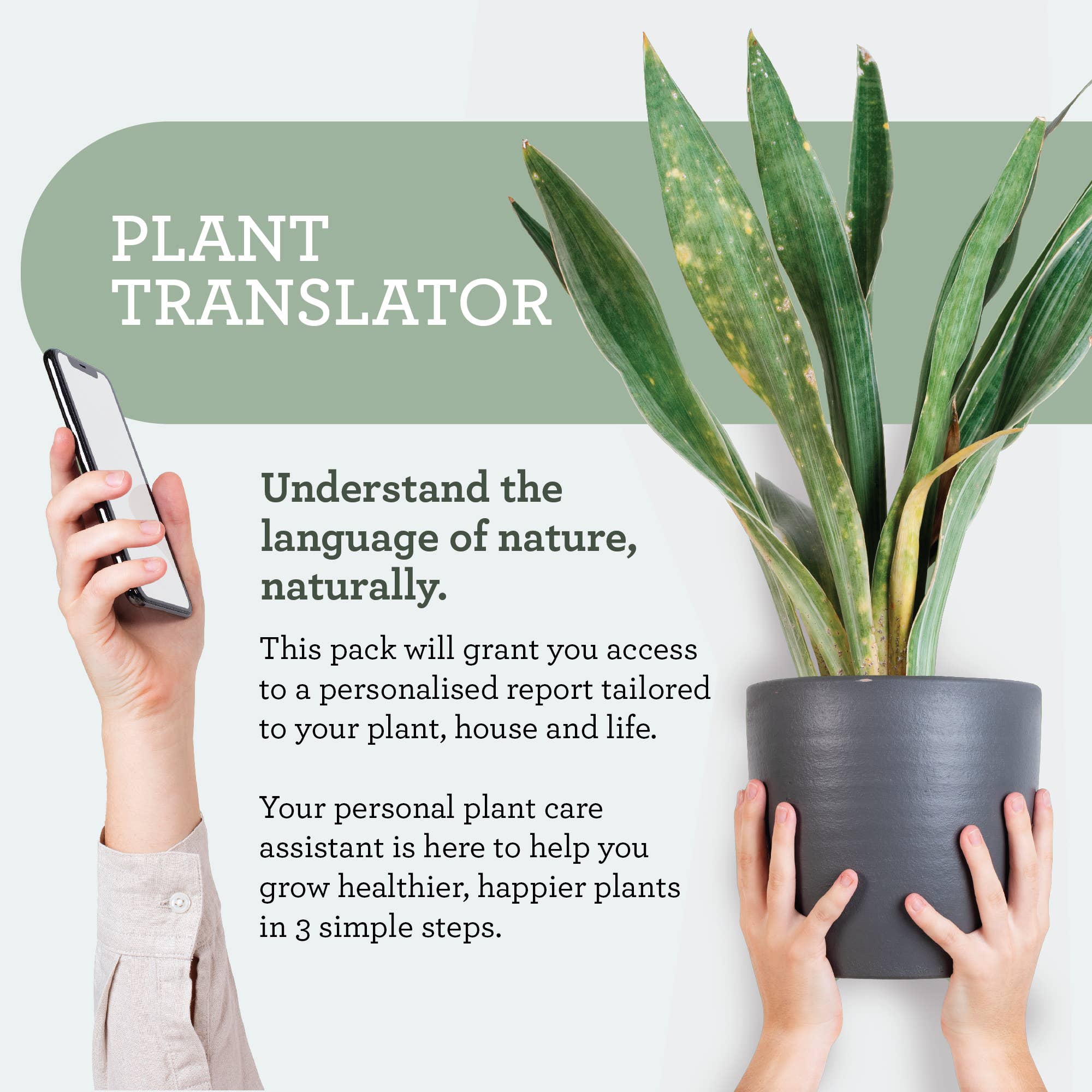 Generosa - Venta al por mayor Rociadores - Kit de cuidado para plantas | Set de regalo Plant Treat4