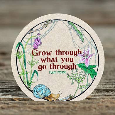 Snail Sticker and other Purchase Wholesale piatti biodegradabili. Free Returns & Net 60 Terms on Faire trending on Faire.