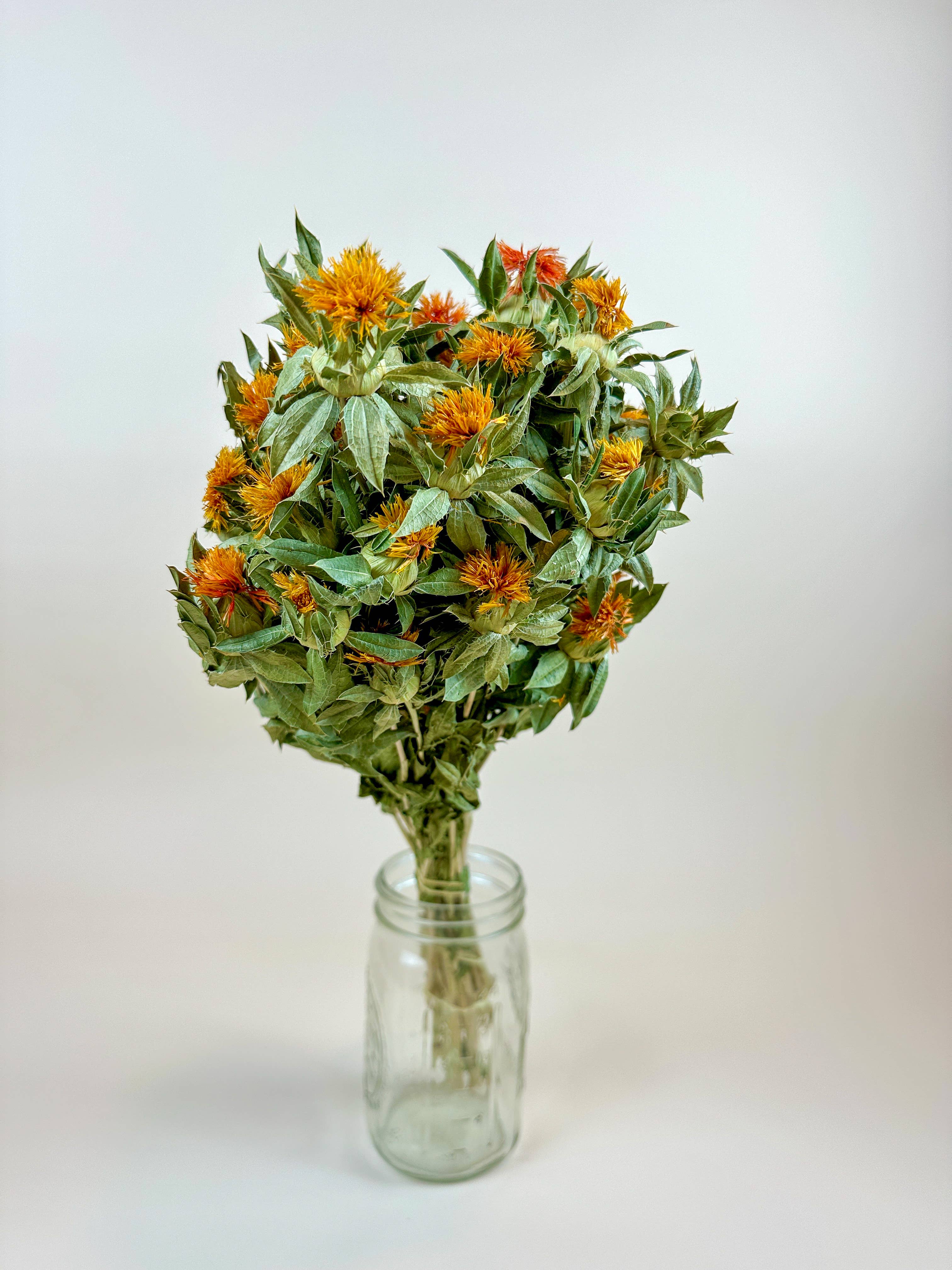 Lovejoy Farms Premium Dried Flowers - Wholesale Dried/Pressed Flowers - Autumn Safflower – Naturally Dried Flowers3