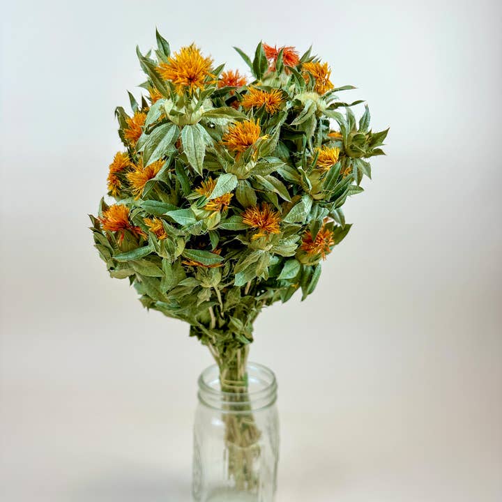 Lovejoy Farms Premium Dried Flowers - Wholesale Dried/Pressed Flowers - Autumn Safflower – Naturally Dried Flowers3