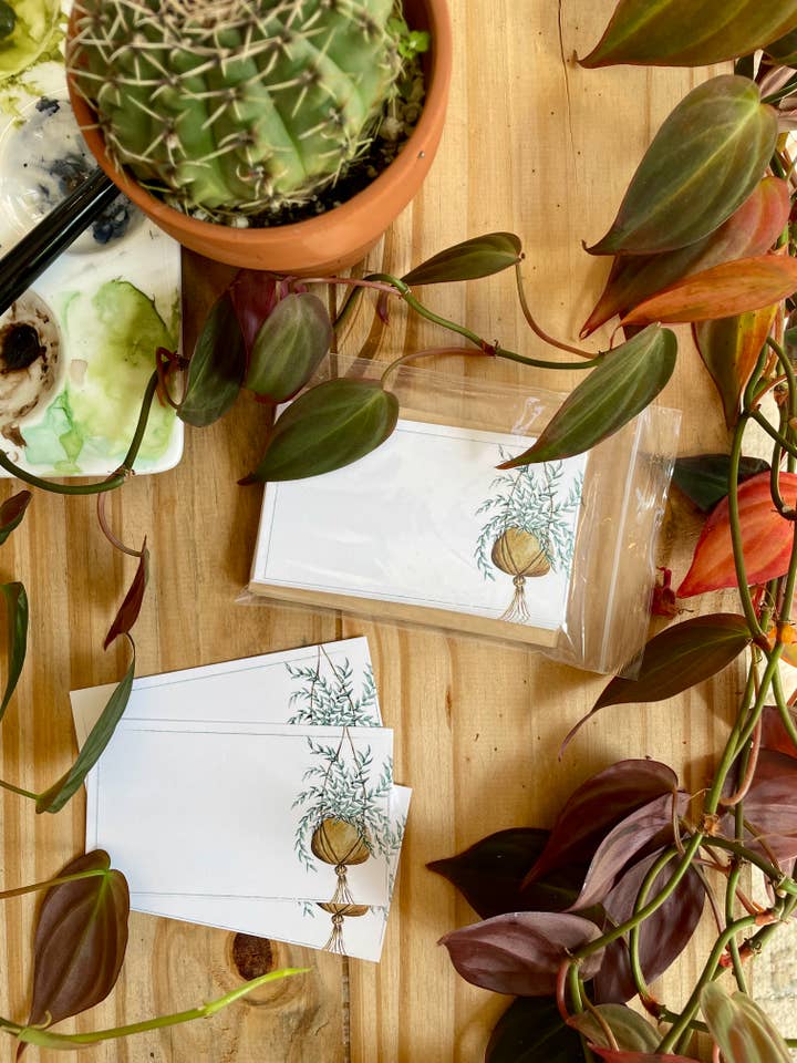 Hanging Plant Mini Messages Set - Houseplant Collection for wholesale by Mini Messages Studio