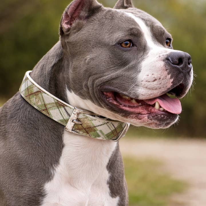 House of FurBaby - Wholesale Pet Collar - Cat/Dog - DIY Pet Collar Bar Kit: Woodlands - 280 Pieces, $600 Value2