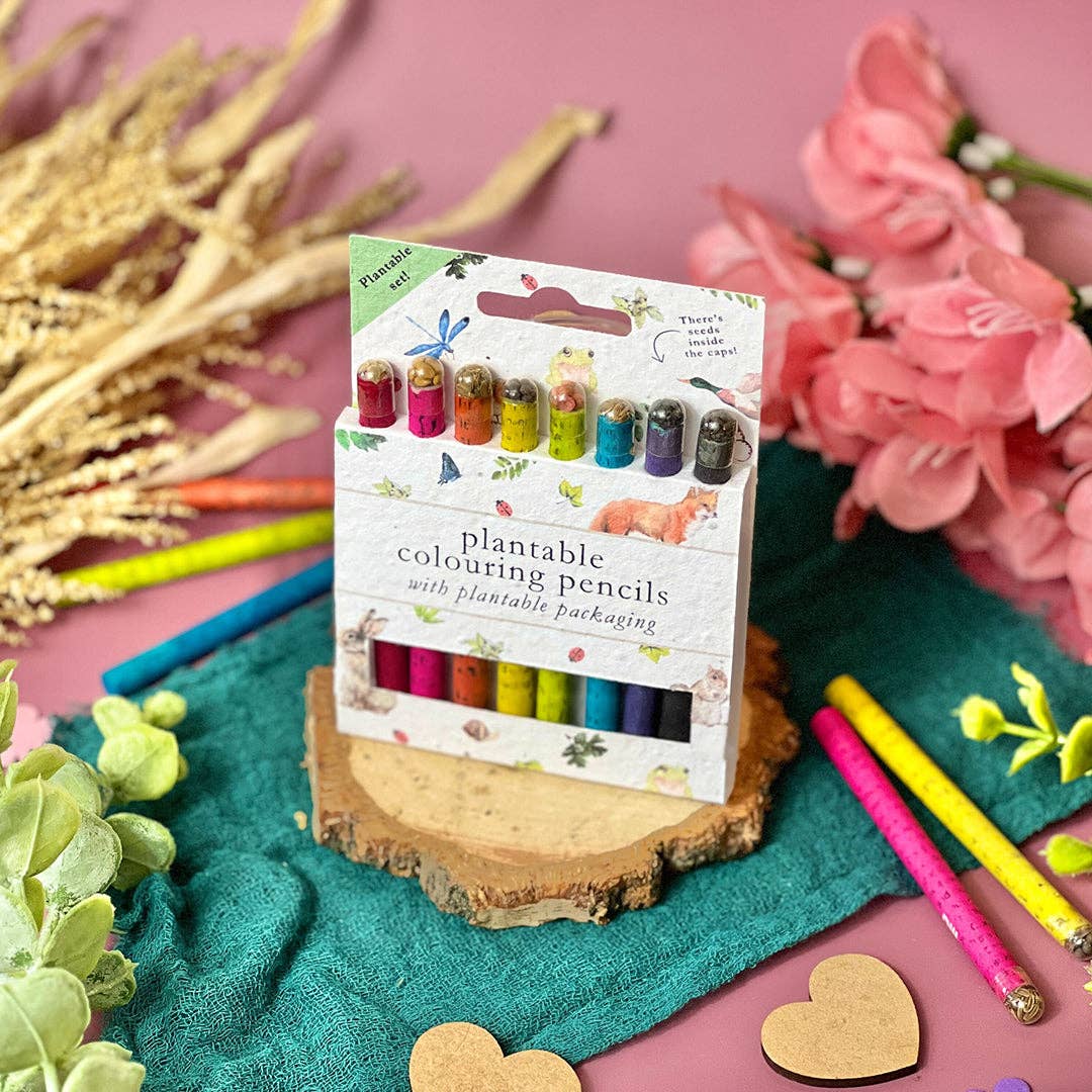 Little Green Gifts – wholesale Coloured pencil – Colouring Pencils - Choice Of Designs (TU-6)6