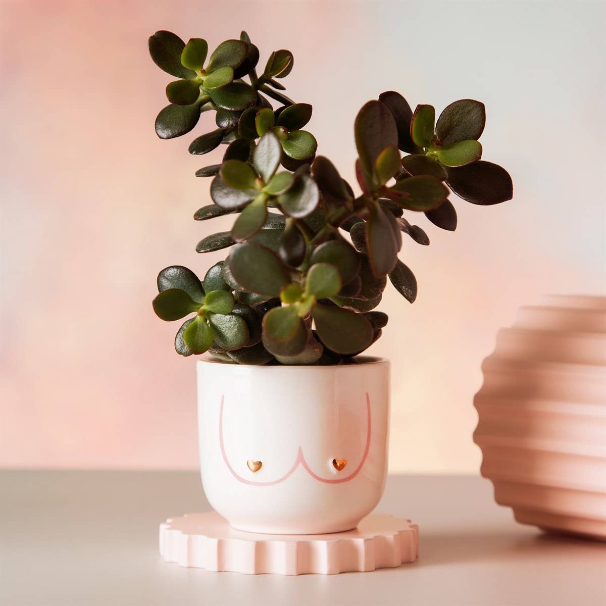 Sass and Belle – wholesale Plant pot – Mini Girl Power Boobies Planter1