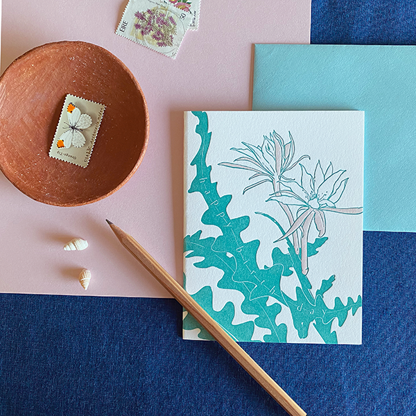 Navy Midnight Press - Vendita all'ingrosso Biglietti di auguri - Biglietto di auguri di compleanno Cactus R1