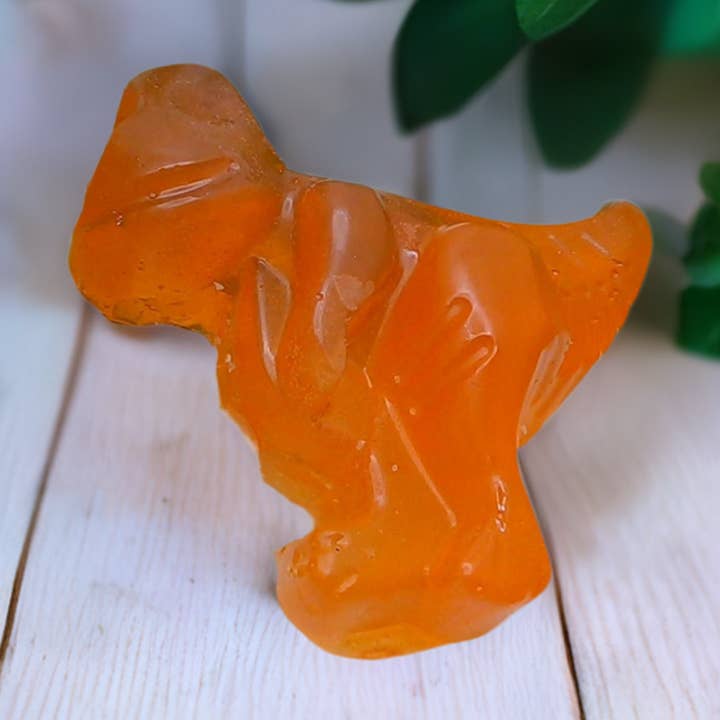 Dinosaur Sweet Orange infused in Glycerin for wholesale by Simply Organic Soaps