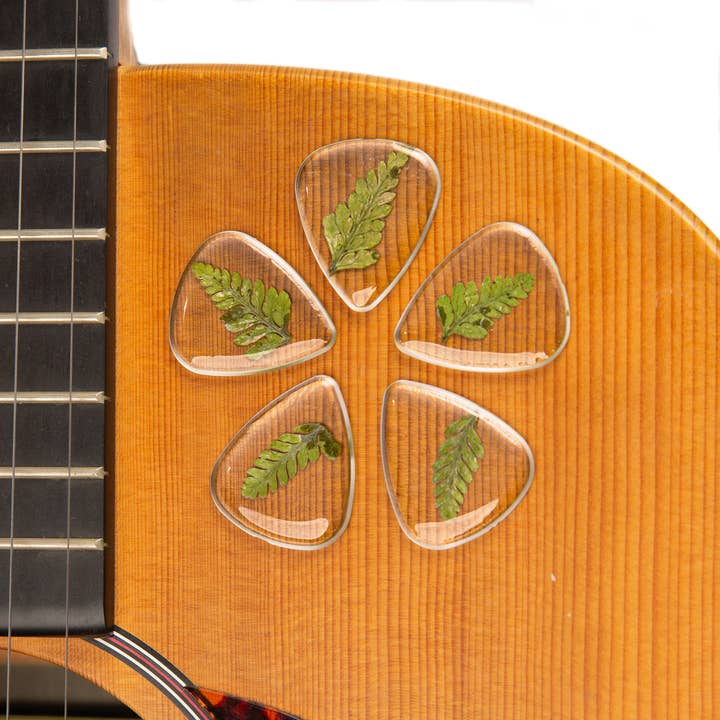 Flower Guitar Picks - Fern | Novelty Gift for Music Lover for wholesale by Terra Tone