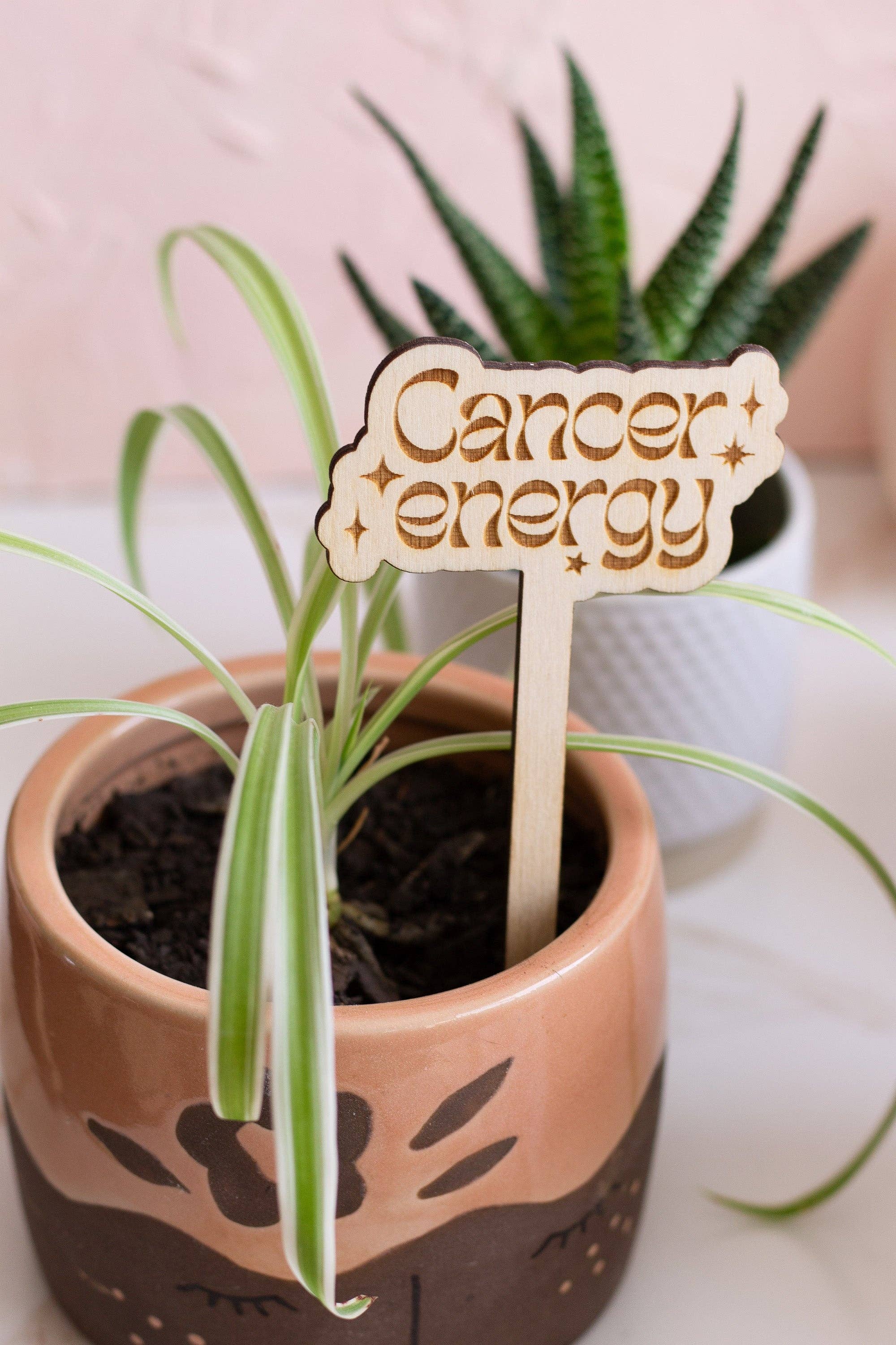 The Print Pantry - Wholesale Garden/Lawn Stake - Astrological Sign Wooden Plant Markers5