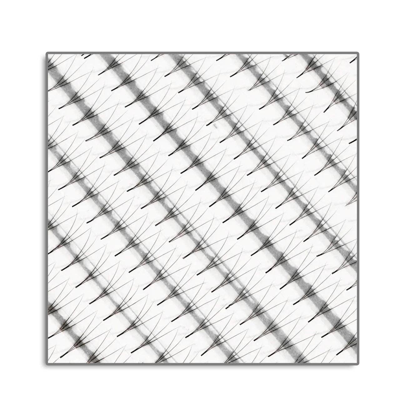 Stacy Lash - Wholesale False/Fake Eyelashes - 20 Rows - Premade Eyelash Extension Volume Fans 3D0