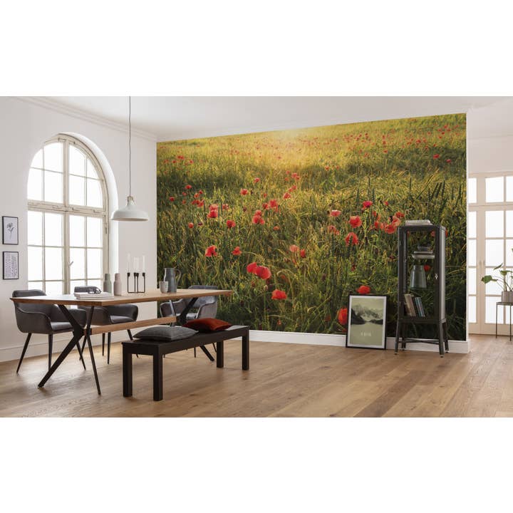 Papel pintado fotográfico de forro polar, Poppy World, tamaño 450 x 280 cm para venta al por mayor de Komar Products GmbH & Co. KG