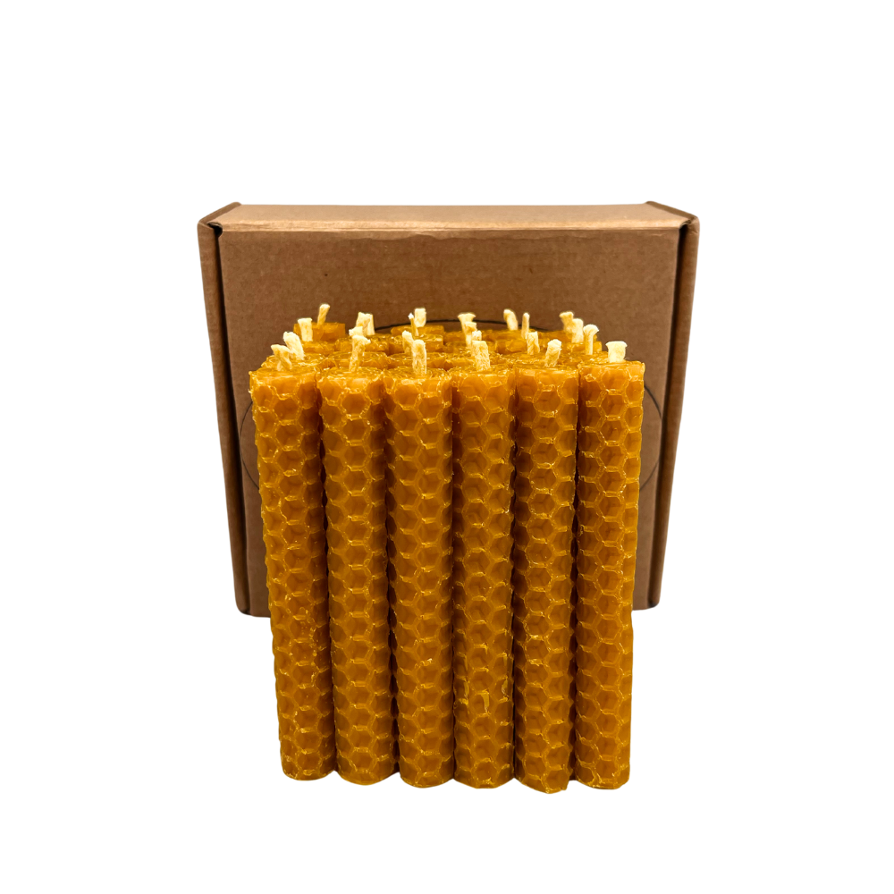 Infinite Essence S.L. – Großhandel Konische Kerze/Kerzenhalter – Honigkerzen, 24er-Pack, 10 x 1 cm0