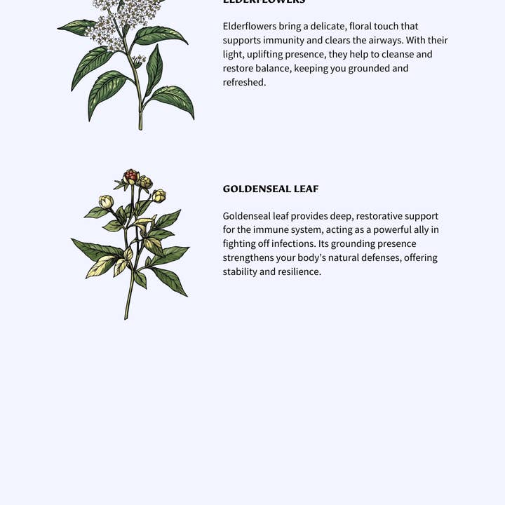 ❈ TALIA TAROT TEA ❈ – wholesale Hälsoté/Detoxté – FLEURS HEAL - IMMUNSTÖD ADAPTOGENA TEPÅSAR