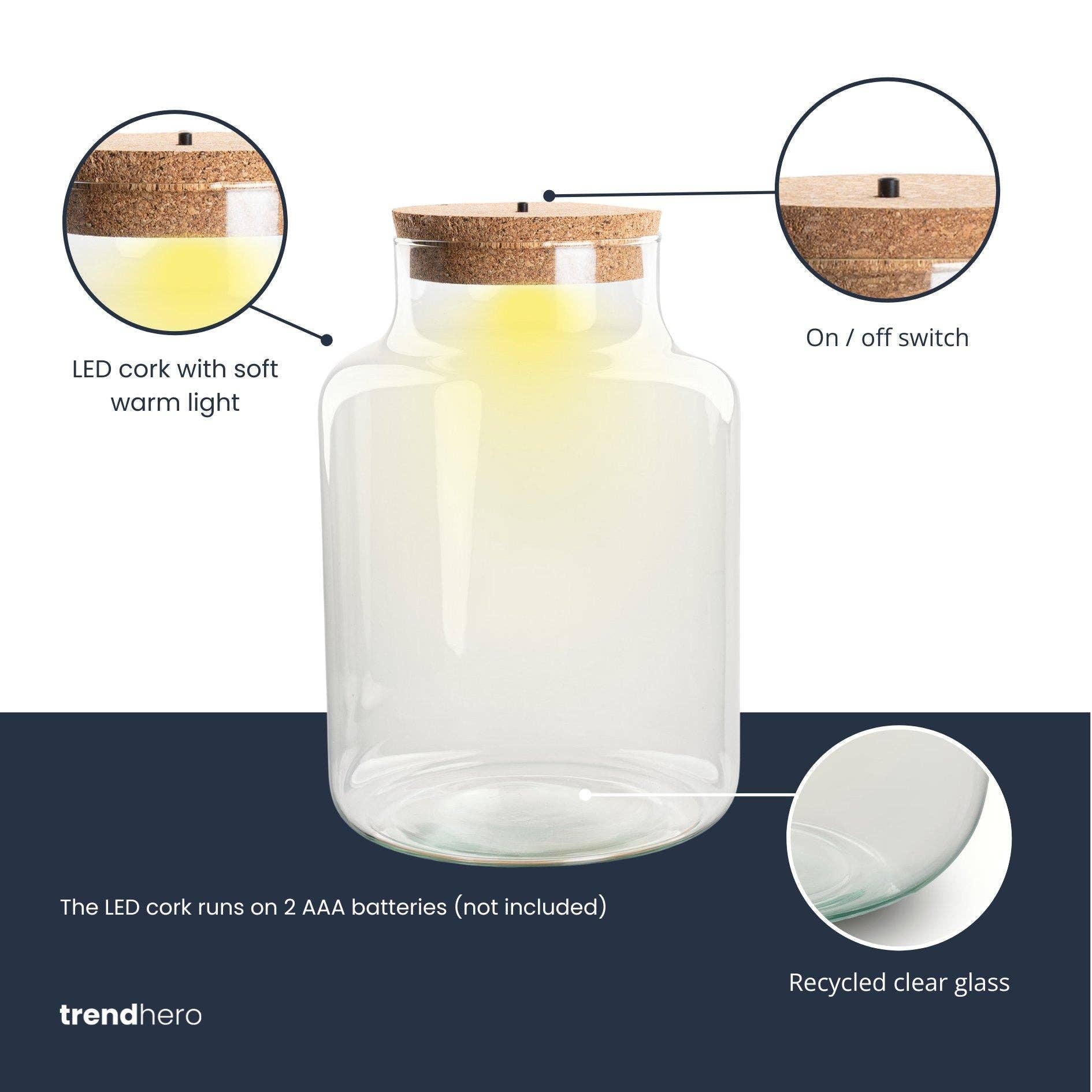 Oasis of Life - Wholesale Terrarium - Terrarium Bottle – Closed Glass Bottle with Cork & LED Lighting – Height 24.5cm Ø17cm – Decorative Plant Terrarium Made from Recycled Glass1