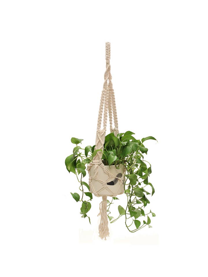 XX Plant Hanger for wholesale by Soul of the Party