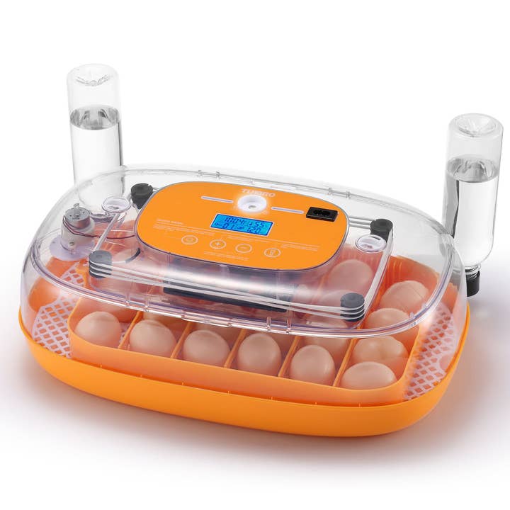 Neighborhood Egg Incubator, 24 Eggs Capacity for wholesale by TURBRO