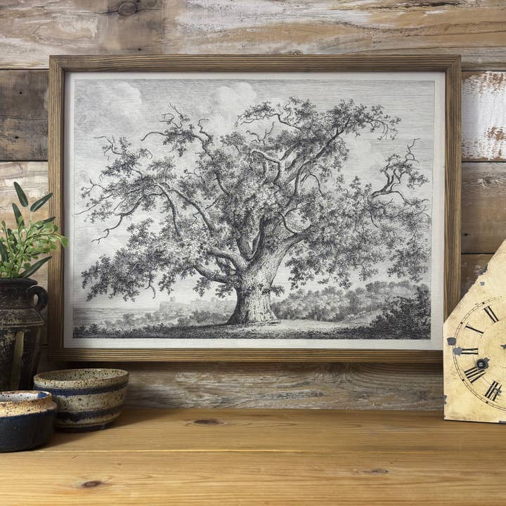 Large Old Elm Tree - Large Tree Sketch Canvas Art - Framed for wholesale by Hangout Home