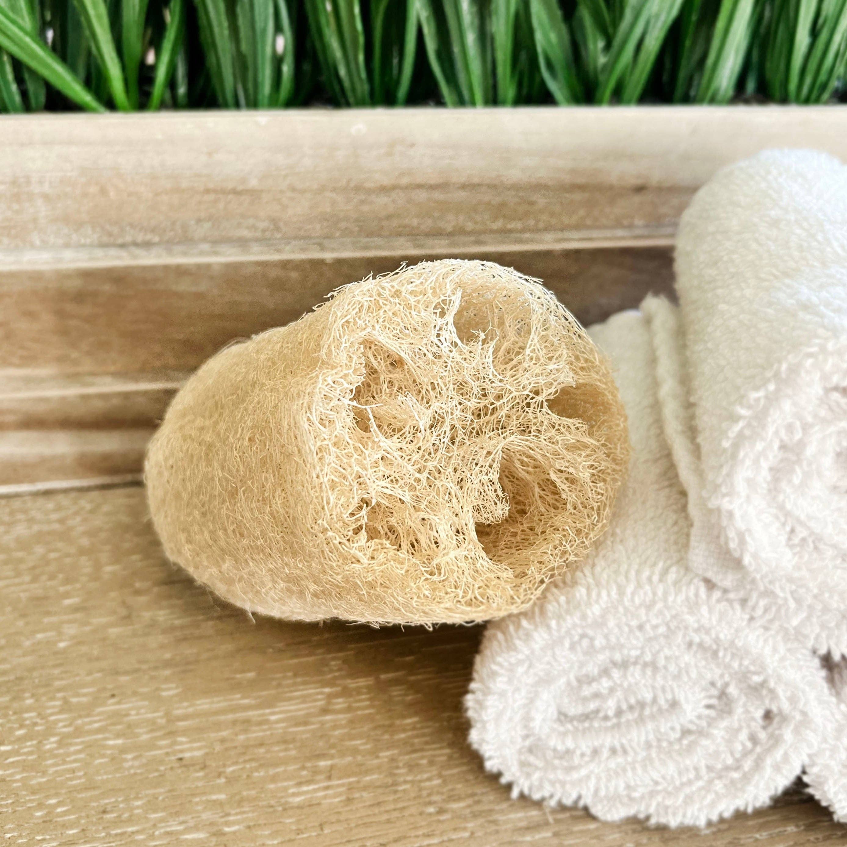 Luna Azul Co – Engroshandel Badesvamp – Naturlig loofah-svamp3