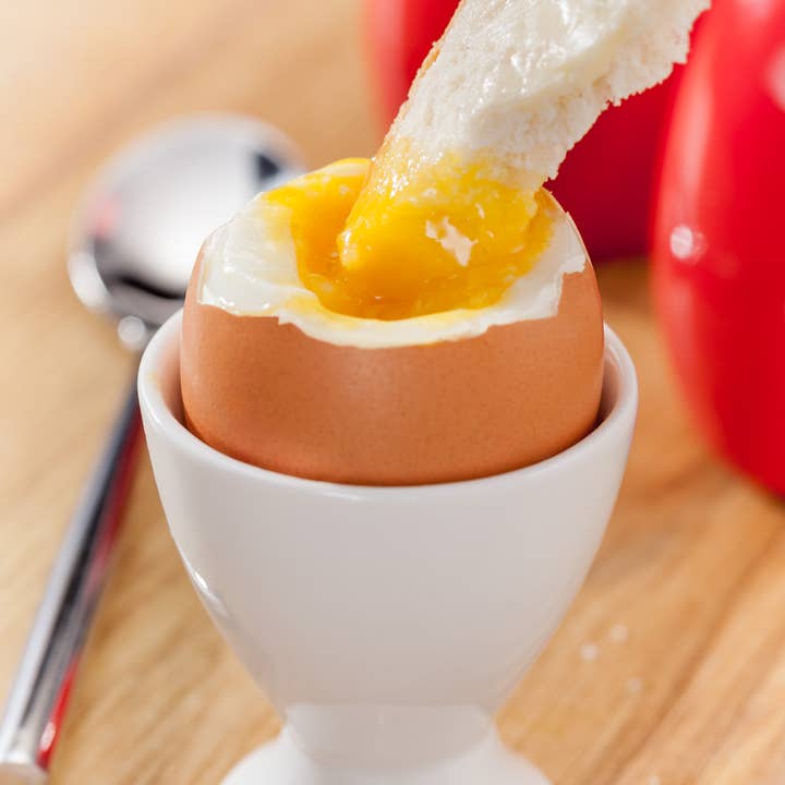 Judge UK - Wholesale Kitchen Appliance - Judge Electricals, 7 Hole Egg Cooker / Steamer - UK PLUG