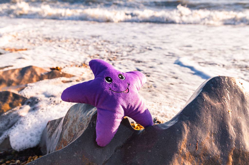 Sustainapaws – wholesale Pet plush toy – Dog – Starfish Double Layered Recycled Plastic Plush Dog Toy1