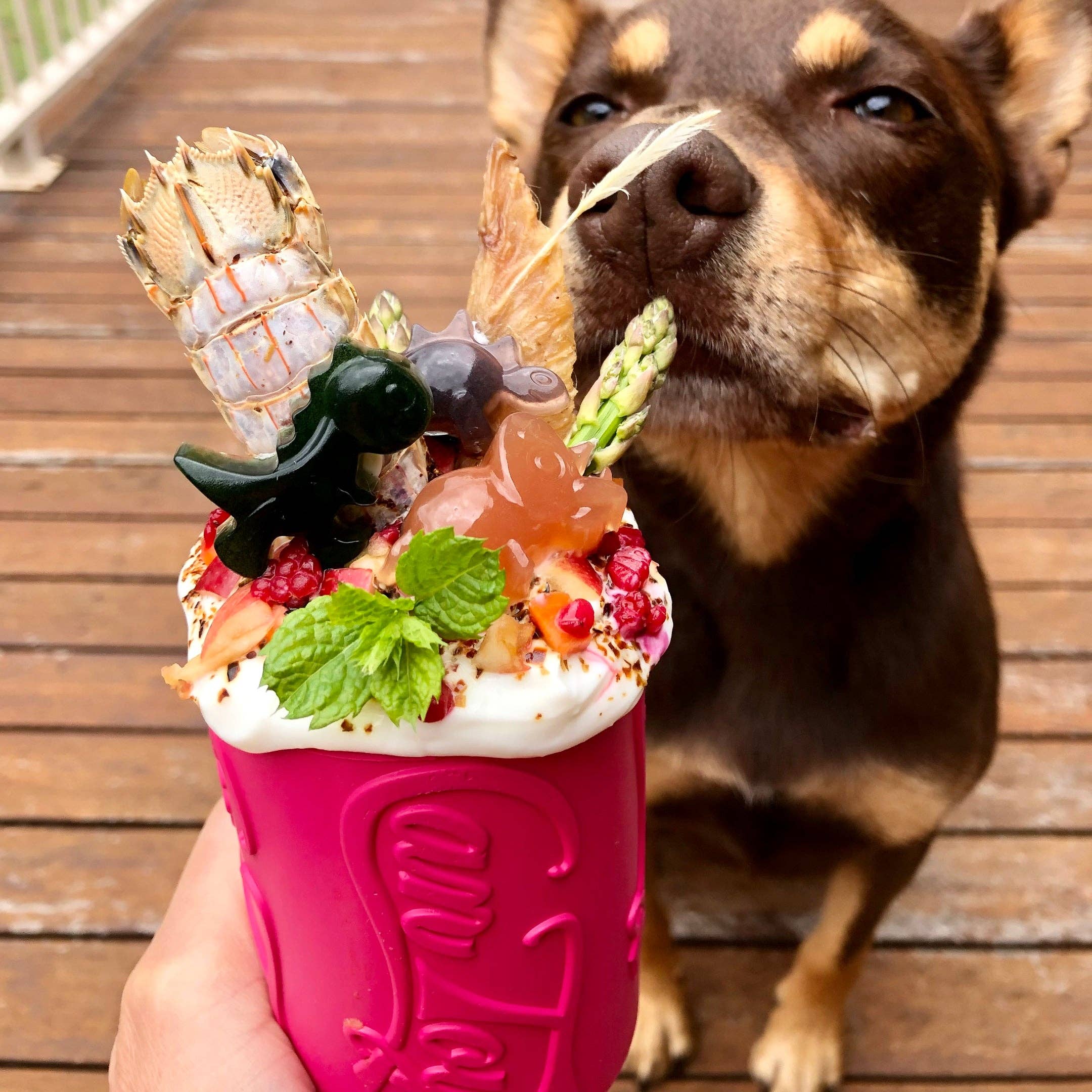 Rover Pet Products - Wholesale Pet chew toy – Dog - Puppy Can Toy - for soft gums and teething puppies.5