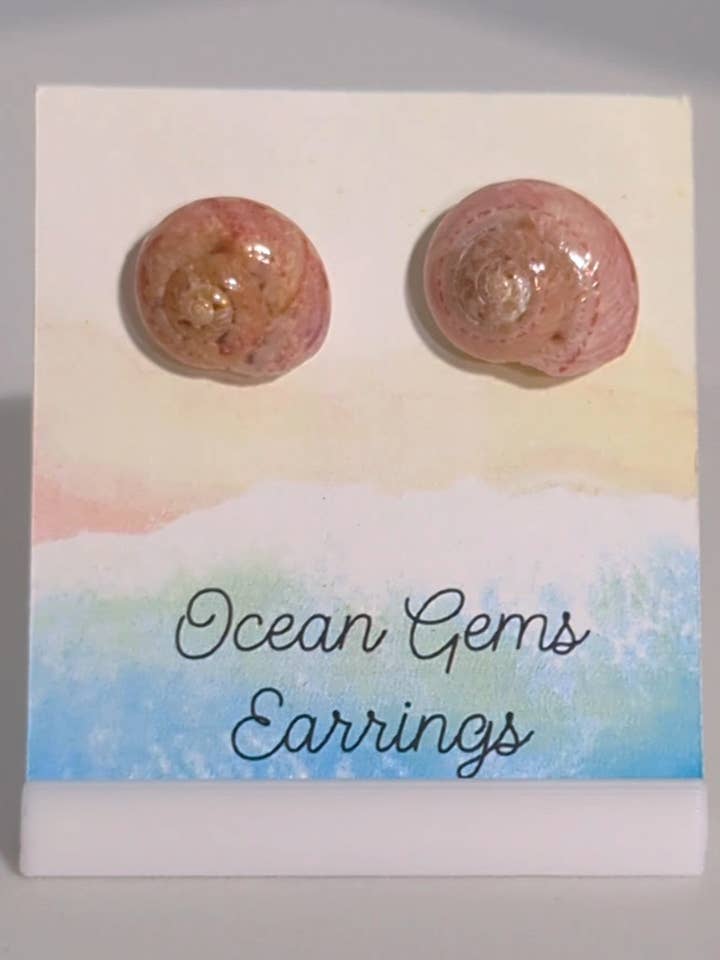 Orecchini con conchiglie Umbonium per la vendita all'ingrosso da parte di Ocean Gems And More
