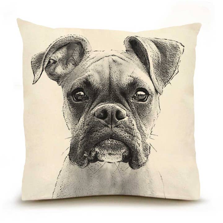 Eric & Christopher - Wholesale Throw/Decorative Pillow - Boxer Large Pillow