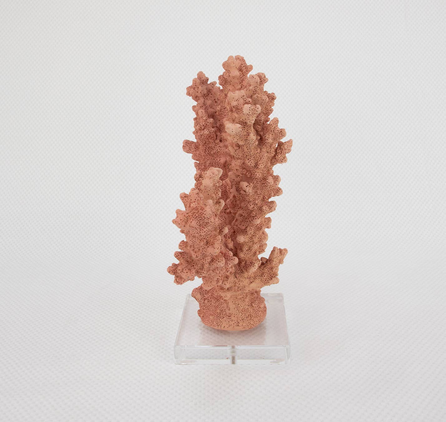 Lillian Home - Wholesale Decorative Tabletop Object - Coral Burst2
