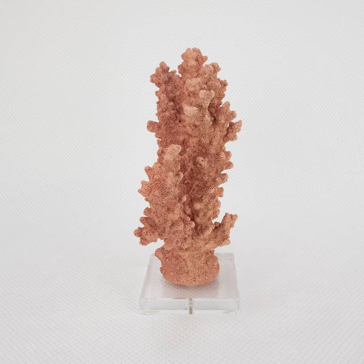 Lillian Home - Wholesale Decorative Tabletop Object - Coral Burst2