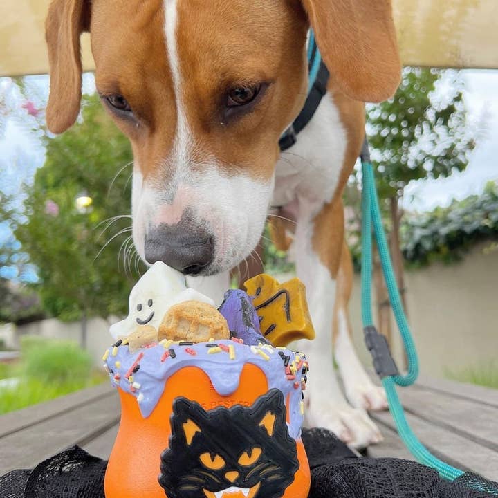 Naked Beasts, Inc. - Wholesale Protein/Superfood Powder - Butterfly Pea Flower Powder (Organic)1