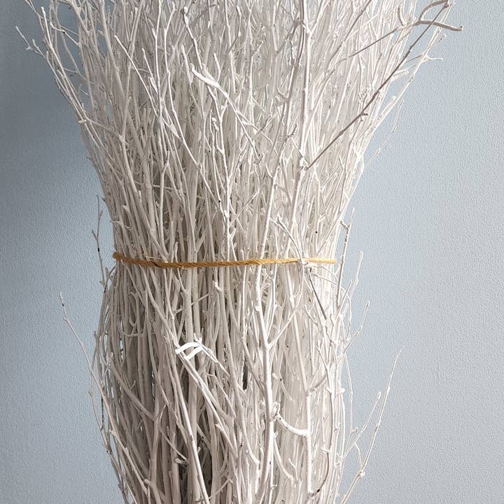 Yooper Wreath & More - Wholesale Dried/Pressed Flowers - White Birch Branches 3'-4' (bulk bundles, 120 twigs)