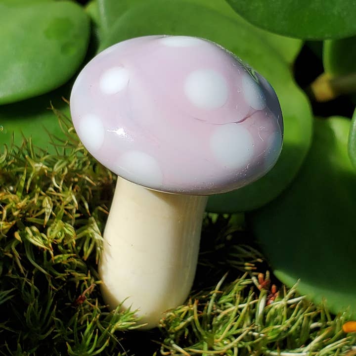 Plant Buddy en verre pour champignons, jacinthe en épi. pour la vente par TyKat Glass