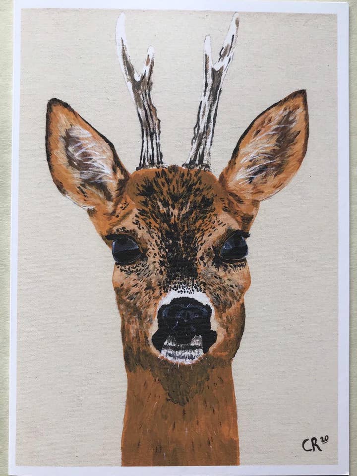 5x7" Roe Deer card, cellophane wrapped for wholesale by CatRogersArt