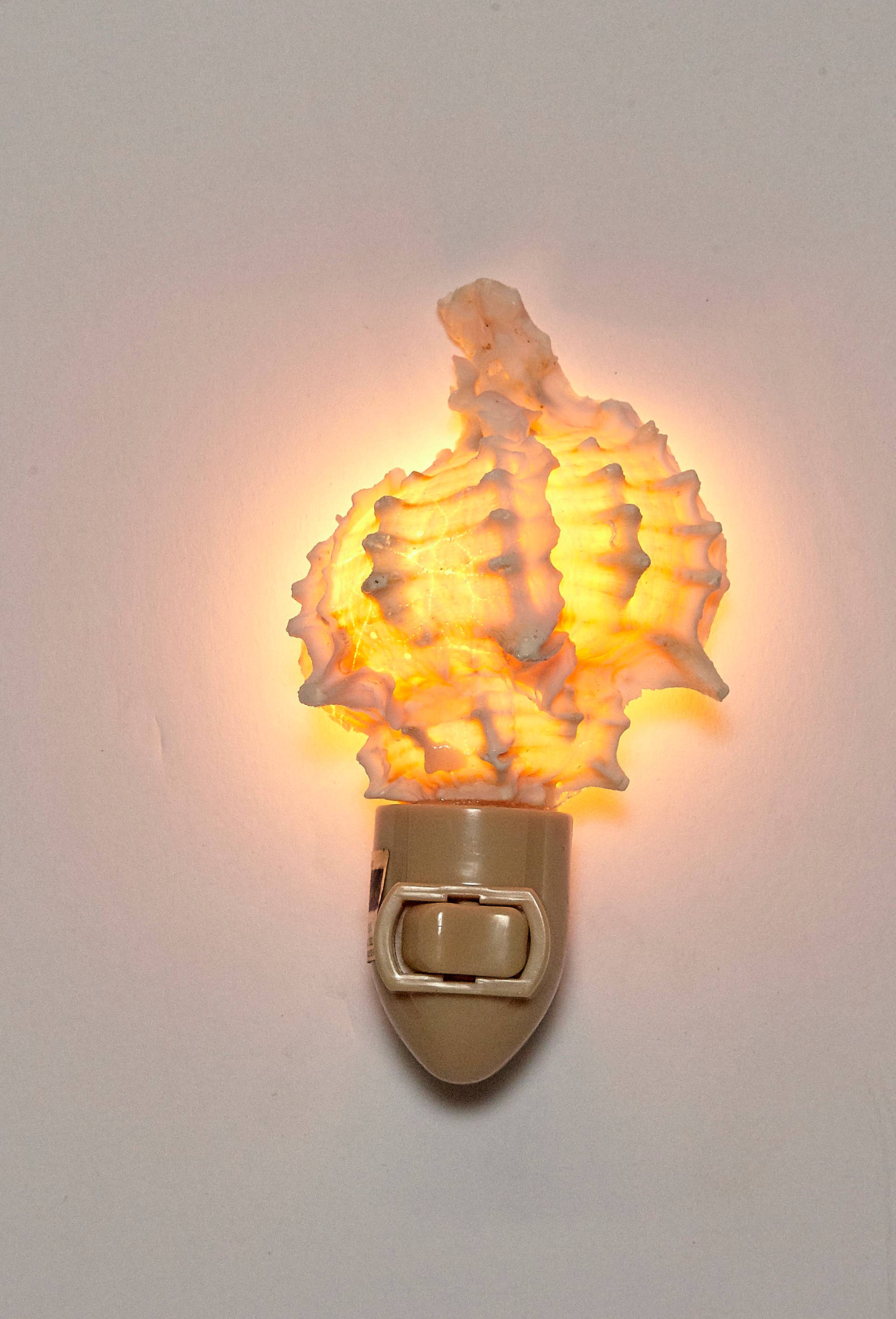 HS Seashells - Wholesale Night Light - Pink Murex Boxed LED Night Light4