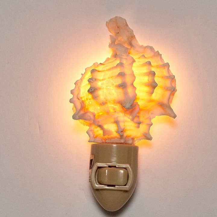 HS Seashells - Vente Veilleuses - Veilleuse LED en boîte Murex rose4