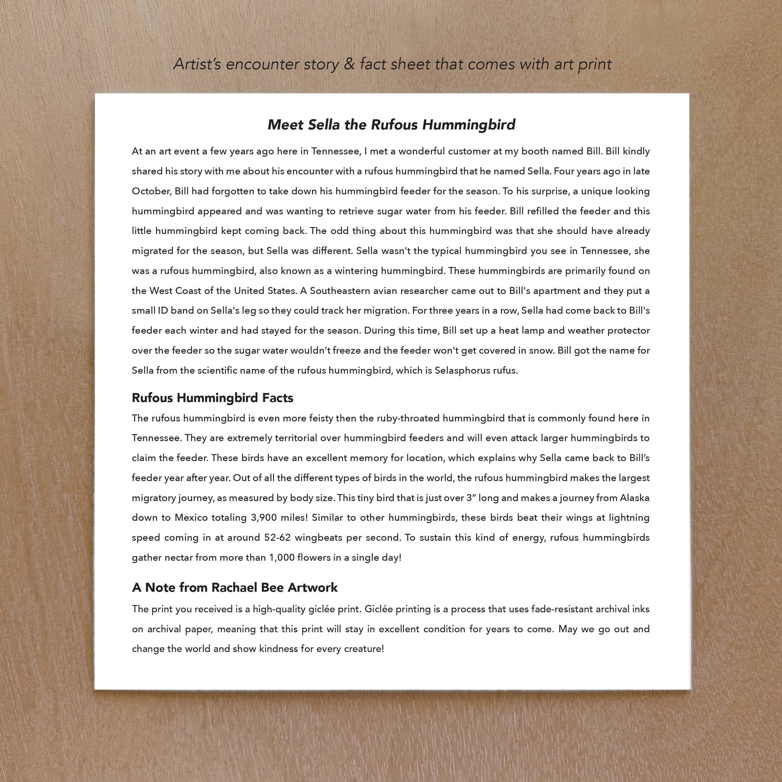 Rachael Bee Artwork - Wholesale Art Print - Rufous Hummingbird in Snow Art Print2