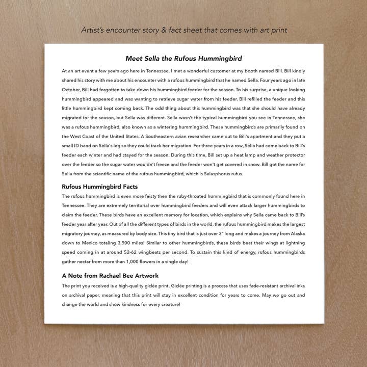 Rachael Bee Artwork - Wholesale Art Print - Rufous Hummingbird in Snow Art Print2